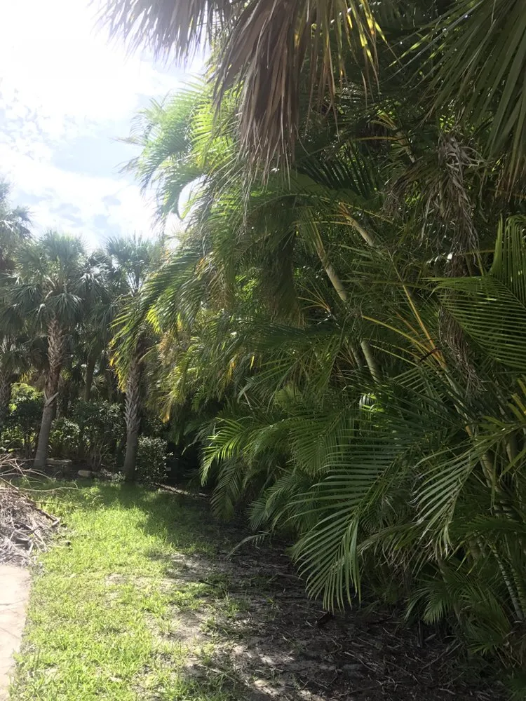 Affordable yard cleanup service in Vero Beach, FL by In the Son Lawn Maintenance