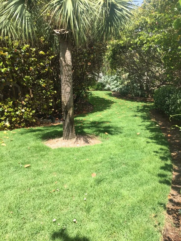 Trusted lawn mowing service experts serving Vero Beach, FL - In the Son Lawn Maintenance