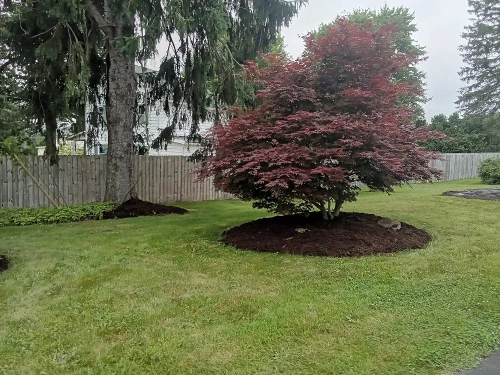 Expert lawn care service in Kennerdell, PA by In The Sticks Landscaping