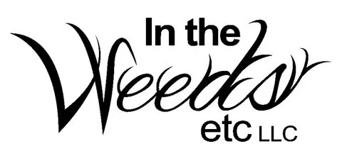 Top-rated yard cleanup service with custom design in Cincinnati, OH by In The Weeds