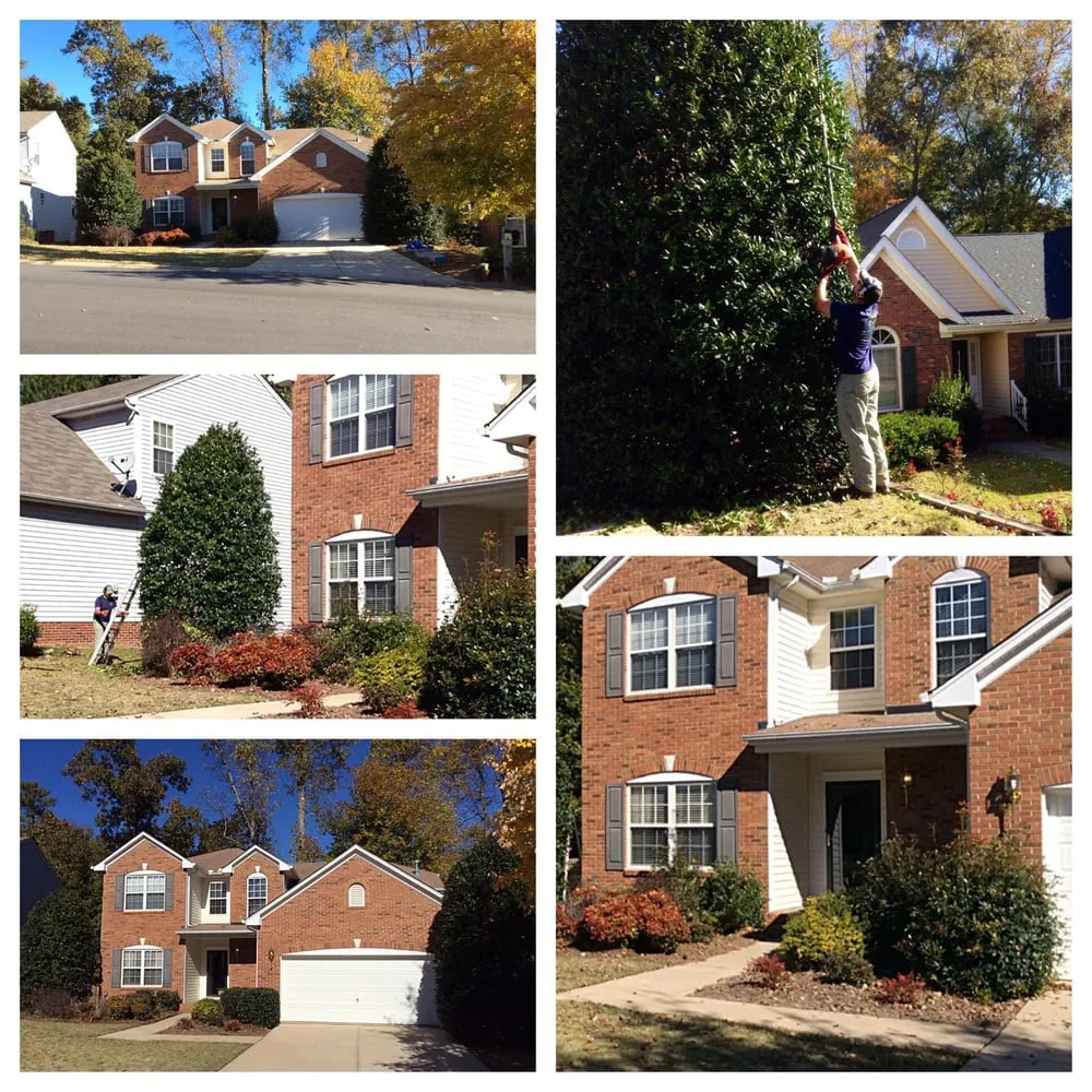 Reliable yard maintenance in Simpsonville, SC by In the Weeds Lawncare