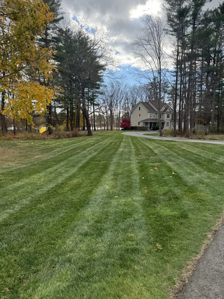 Trusted yard cleanup service in Portsmouth, NH by In The Weeds Turf Care