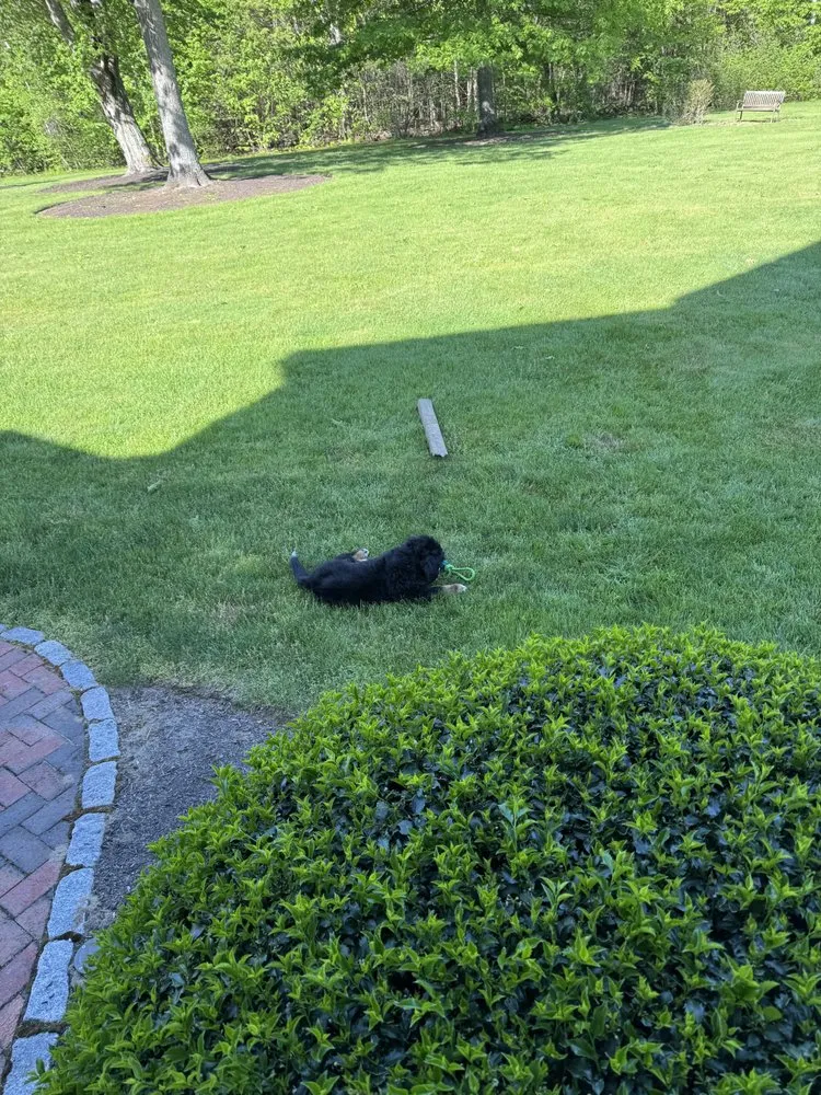 Trusted landscape design for year-round maintenance across Portsmouth, NH - In The Weeds Turf Care