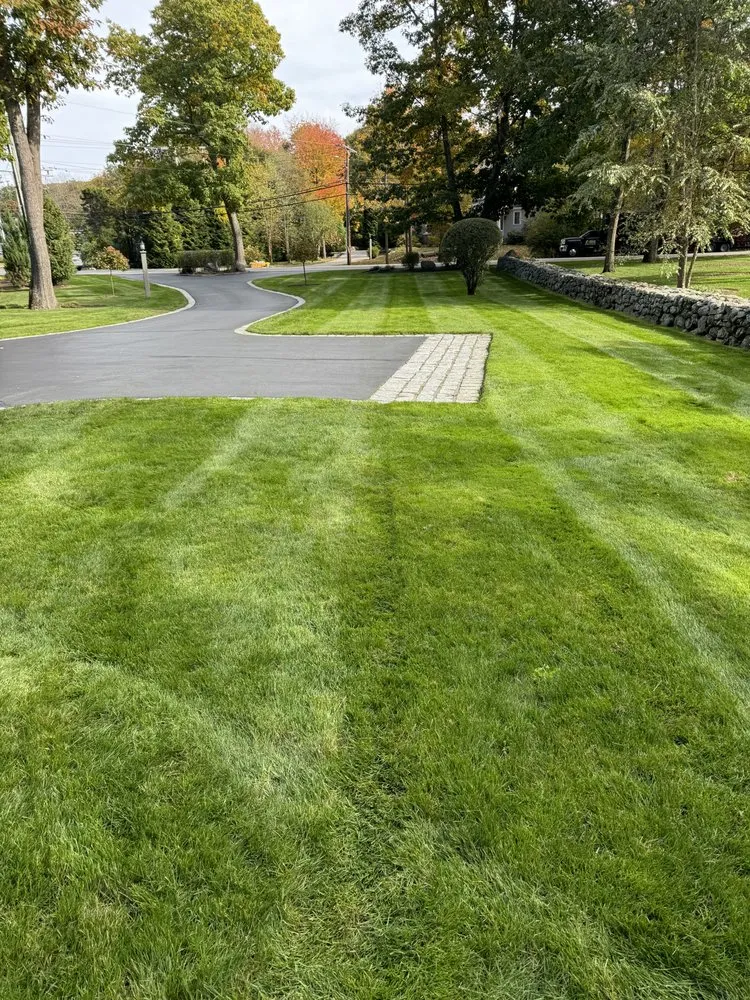 Top-rated yard cleanup service in Portsmouth, NH by In The Weeds Turf Care