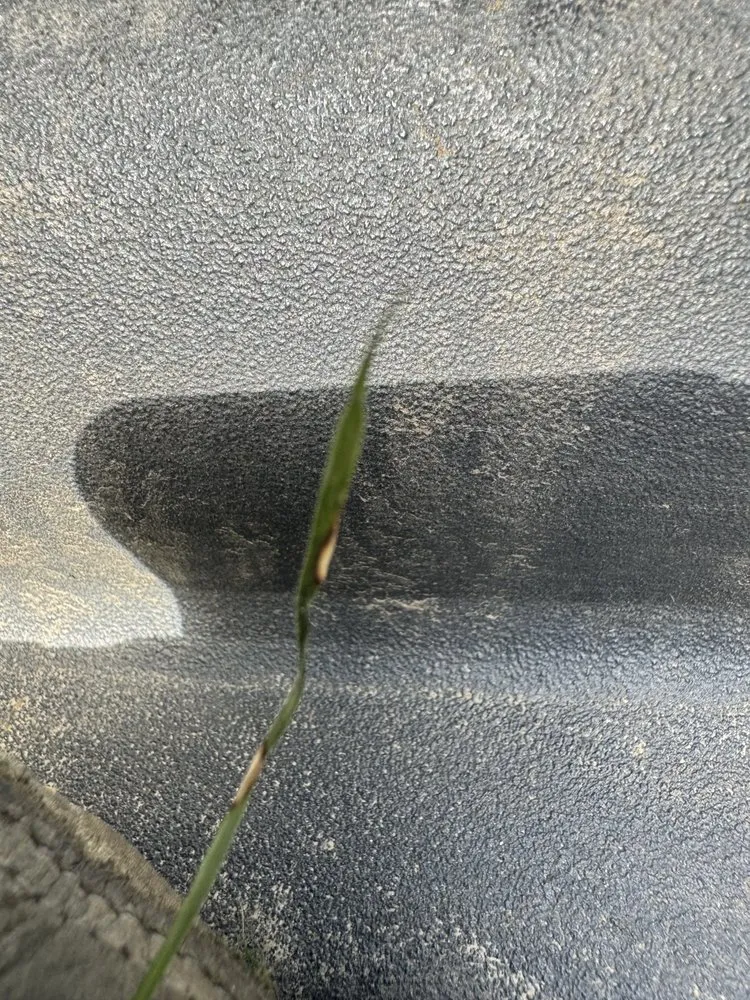 Trusted yard maintenance for year-round maintenance in Portsmouth, NH by In The Weeds Turf Care