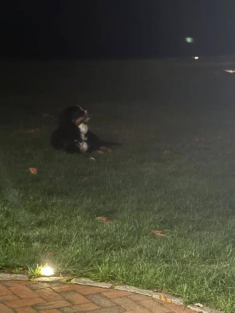 Top-rated yard maintenance experts serving Portsmouth, NH - In The Weeds Turf Care