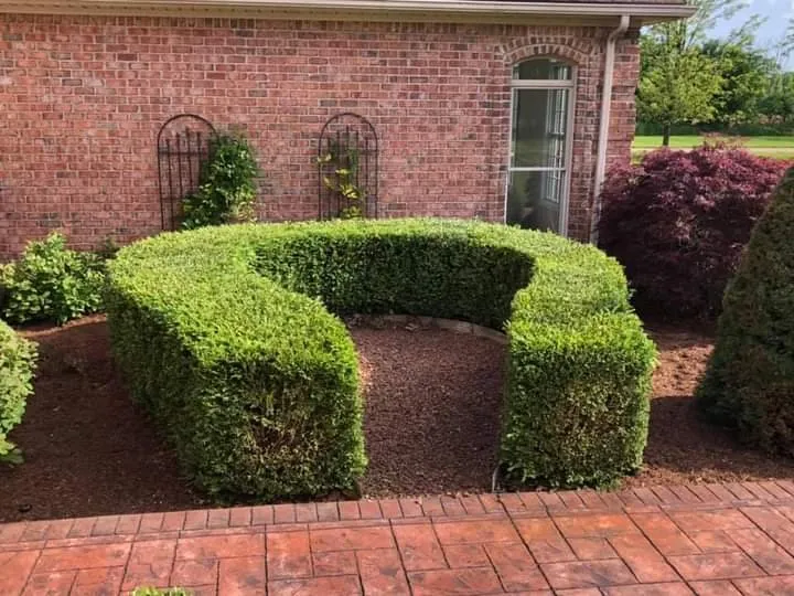 Top-rated residential landscaping for year-round maintenance in Jackson, MI by In The Wind Outdoor Services