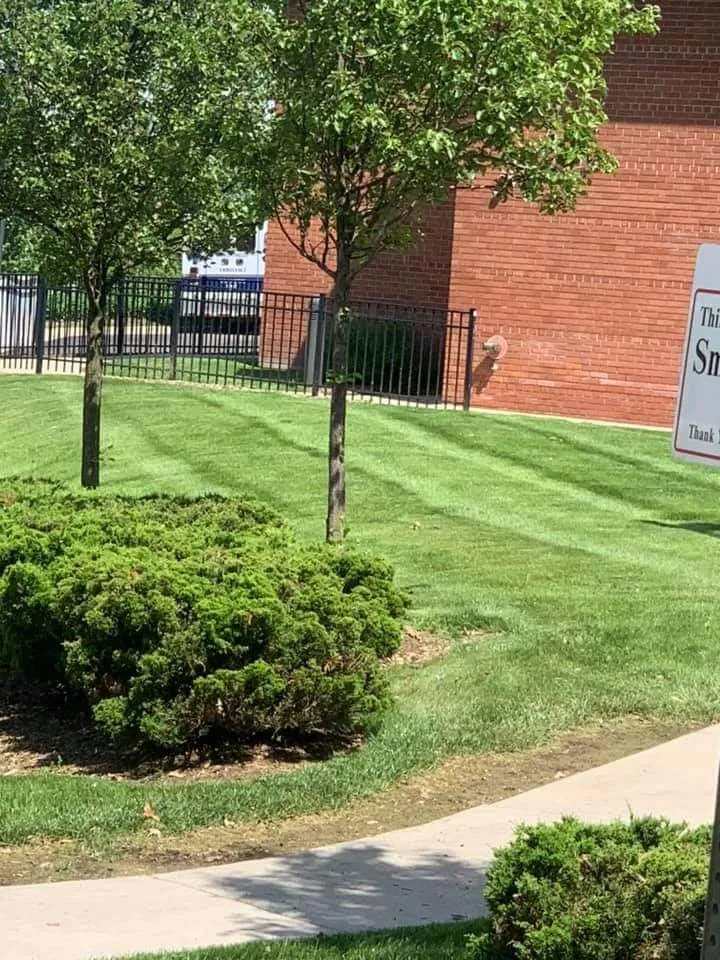 Top-rated residential landscaping in Jackson, MI - In The Wind Outdoor Services