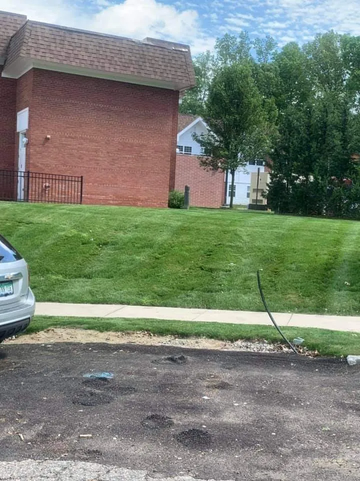 Custom yard cleanup service for beautiful yards across Jackson, MI - In The Wind Outdoor Services