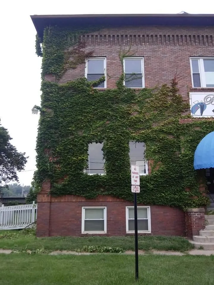 Top-rated lawn mowing service for beautiful yards in Jackson, MI by In The Wind Outdoor Services