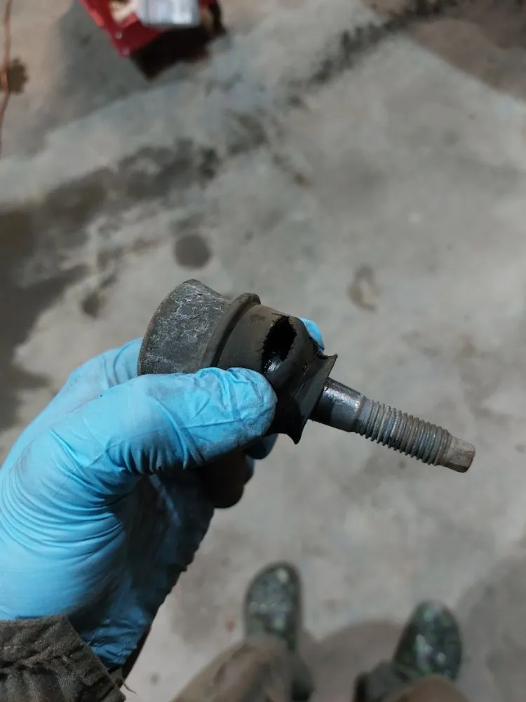 Expert yard cleanup service in Augusta, GA by In Time of Need