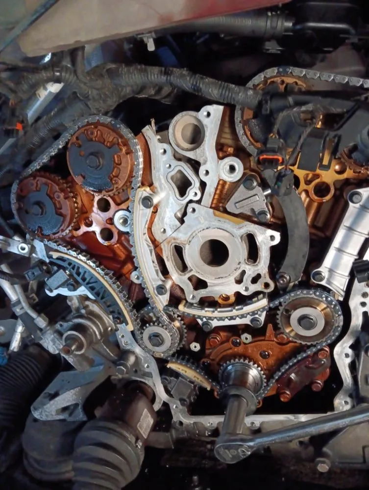 Reliable lawn care service in Augusta, GA - In Time of Need