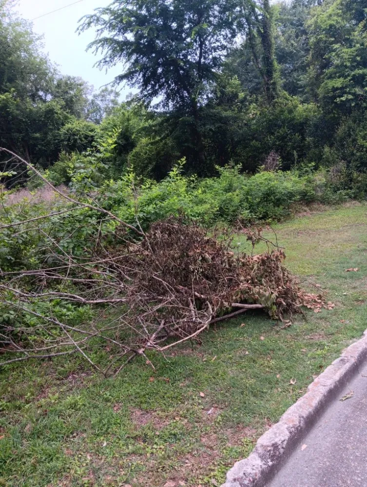 Professional landscape design for outdoor upgrades in Augusta, GA by In Time of Need