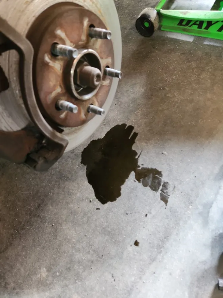 Top-rated landscaping services experts serving Augusta, GA - In Time of Need