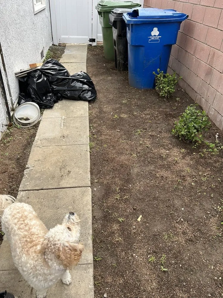 Professional landscaping services experts serving Palmdale, CA - In2it Landscaping