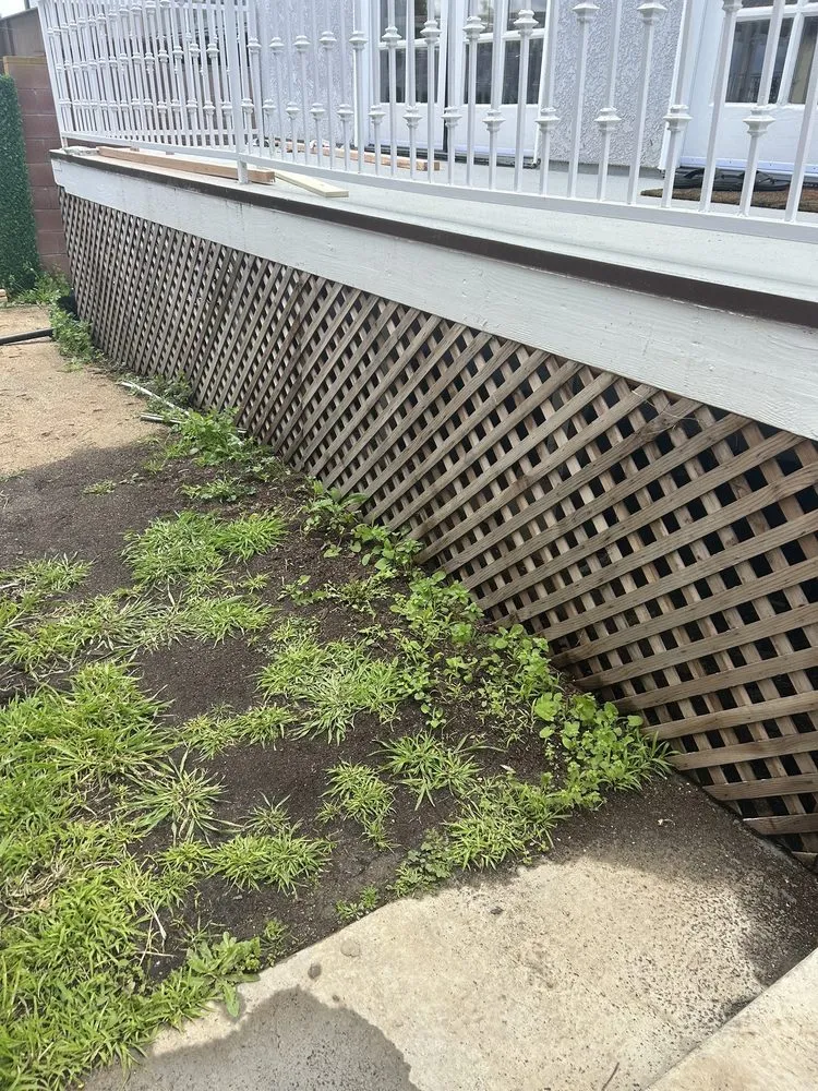 Expert yard maintenance experts serving Palmdale, CA - In2it Landscaping