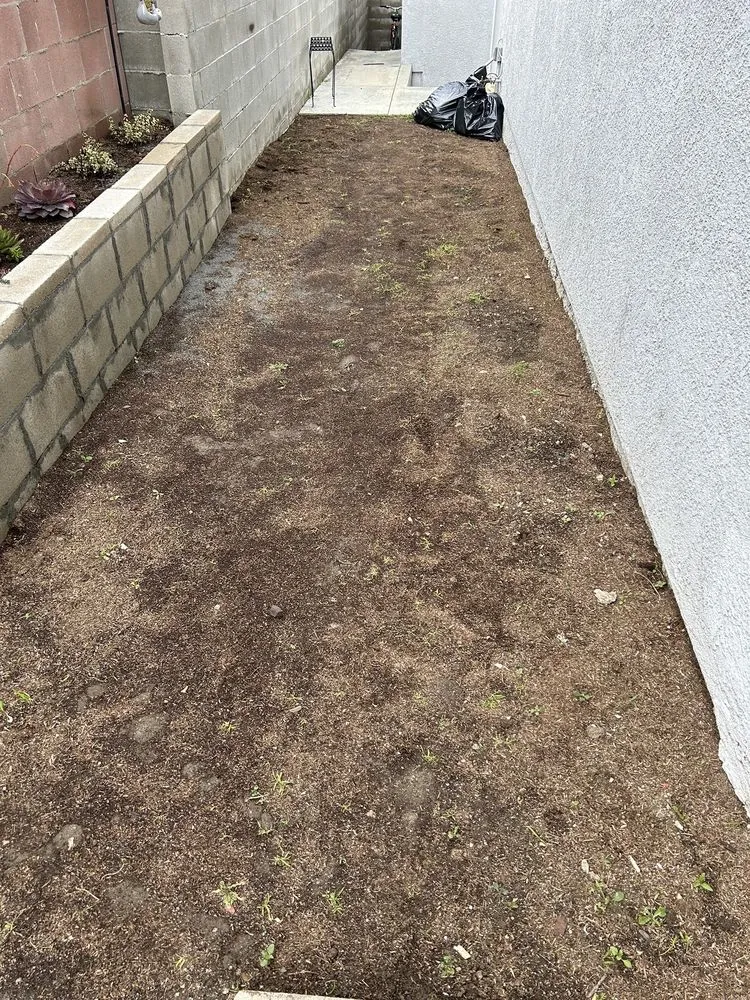 Professional landscape installation in Palmdale, CA - In2it Landscaping