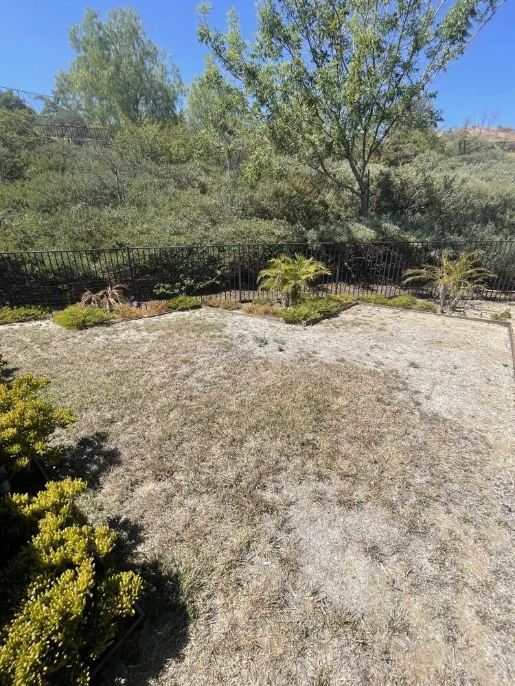 Top-rated yard maintenance for homes in Palmdale, CA by In2it Landscaping