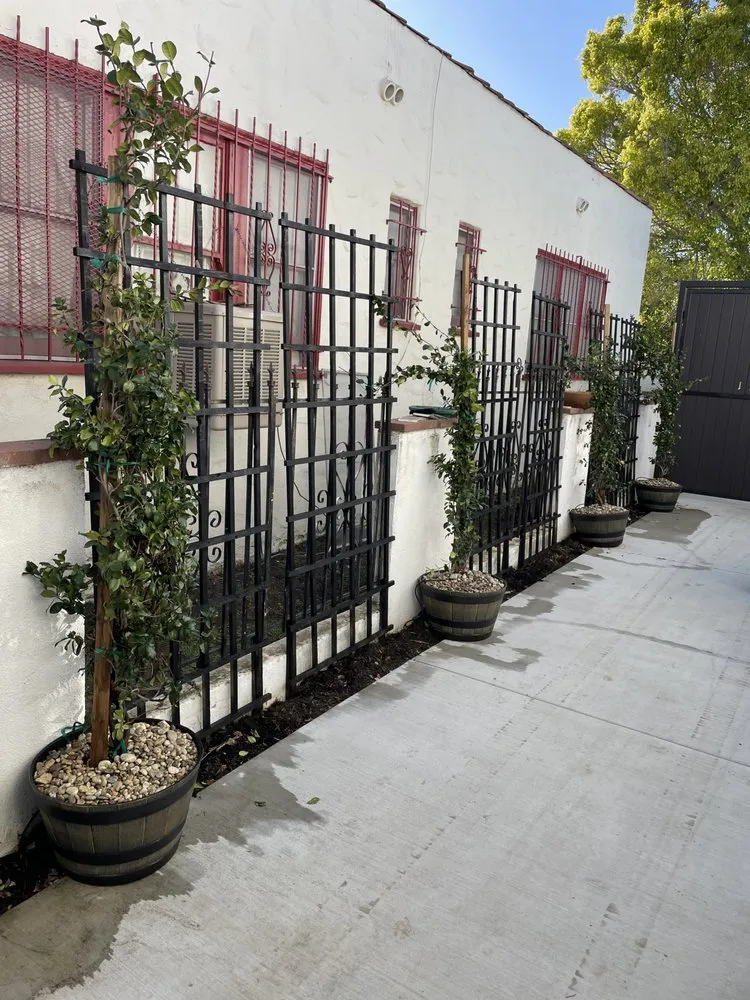 Affordable lawn care service for year-round maintenance across Palmdale, CA - In2it Landscaping