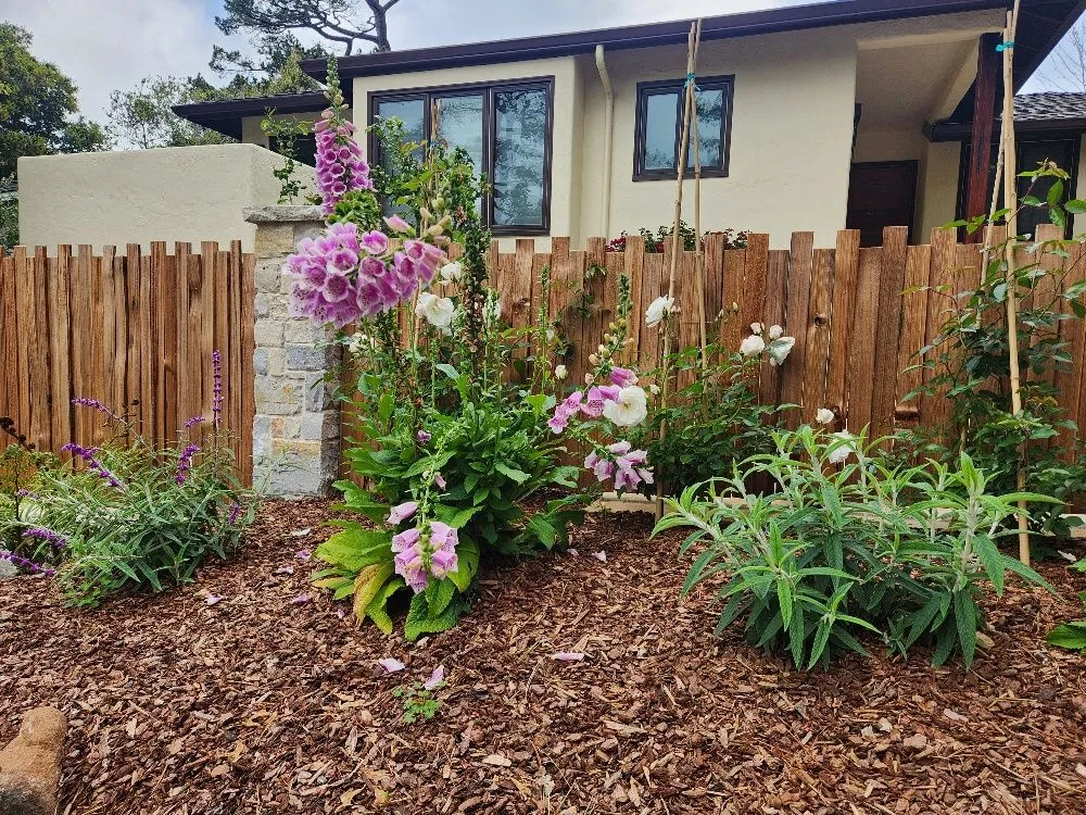 Reliable lawn care service experts serving Monterey, CA - INCA Landscape Management