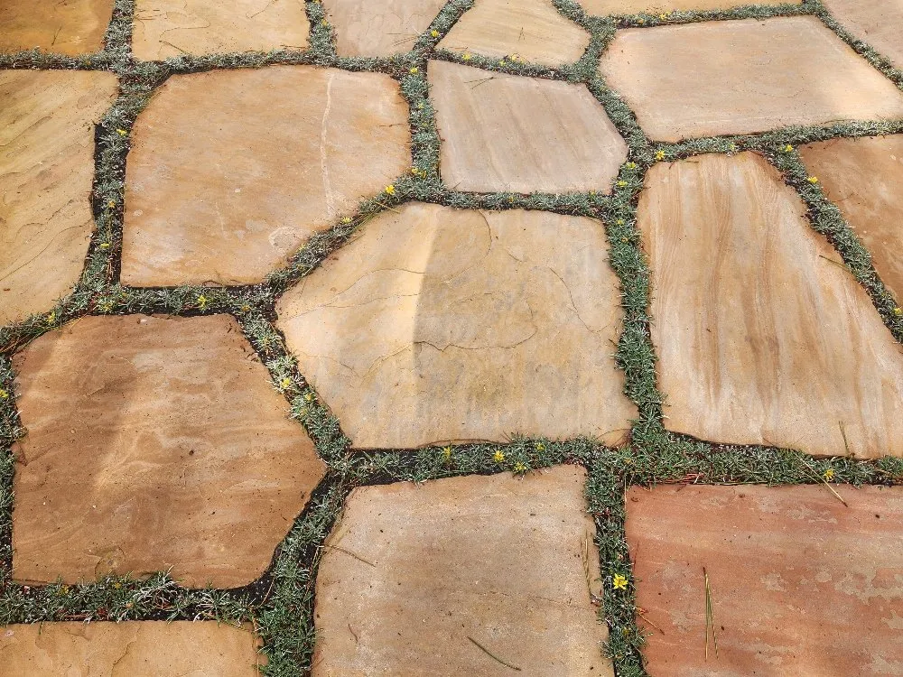 Affordable landscape design in Monterey, CA by INCA Landscape Management