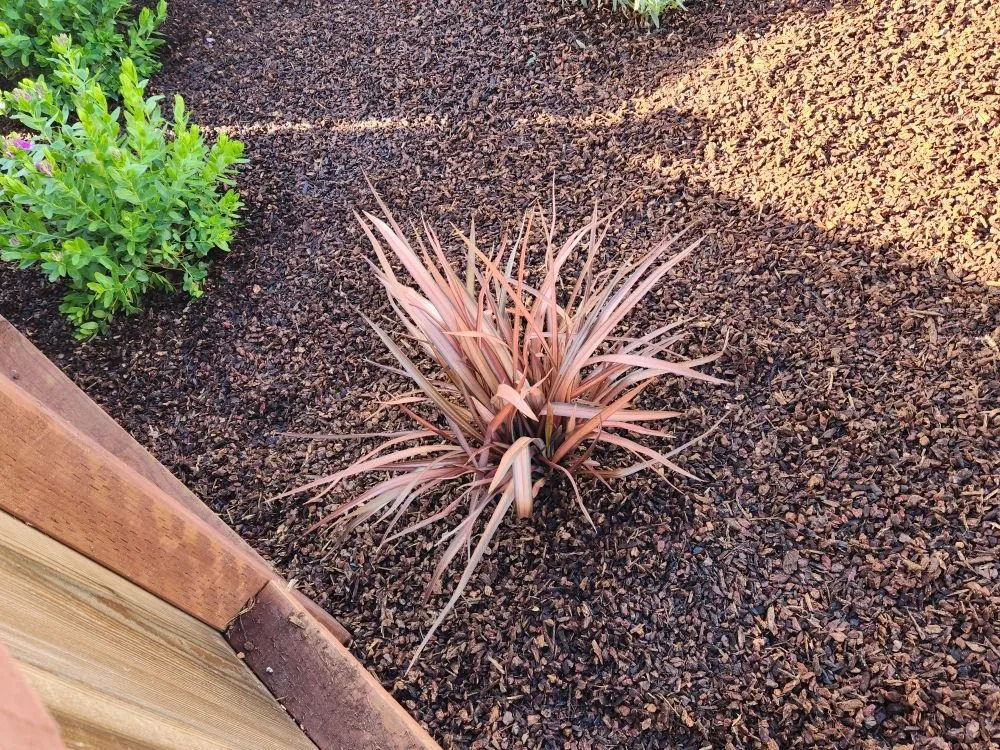 Local lawn care service experts serving Monterey, CA - INCA Landscape Management