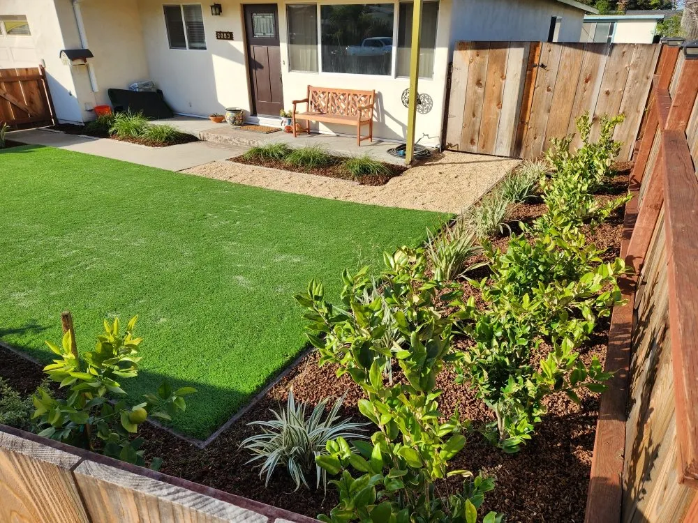 Top-rated lawn care service in Monterey, CA - INCA Landscape Management