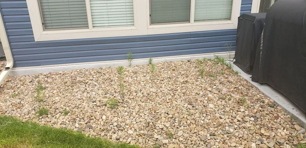 Reliable landscape installation experts serving Aurora, CO - Incas Lawn Services