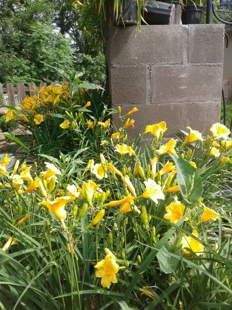 Professional residential landscaping in Moon Township, PA - Inches Nursery