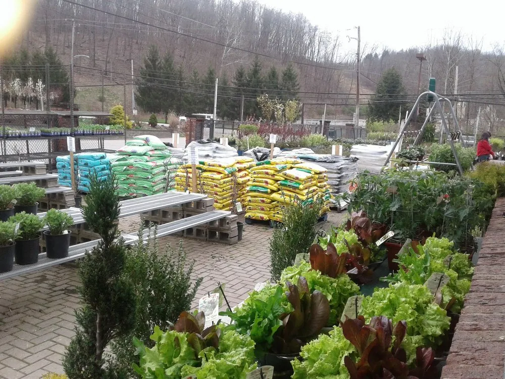 Affordable landscape design for beautiful yards in Moon Township, PA by Inches Nursery