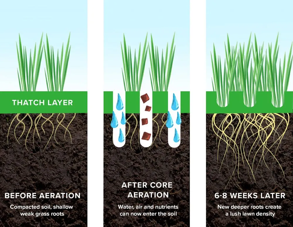 Trusted residential landscaping in York, PA by Inch's Natural Lawn Care