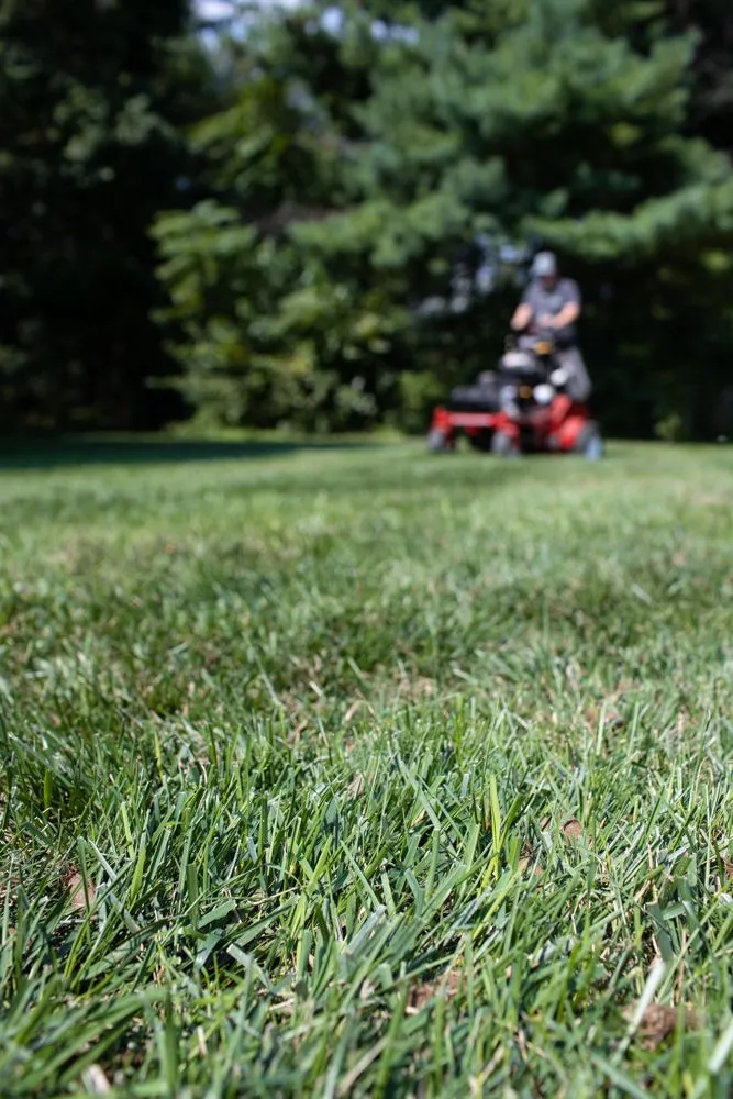 Top-rated residential landscaping in York, PA by Inch's Natural Lawn Care