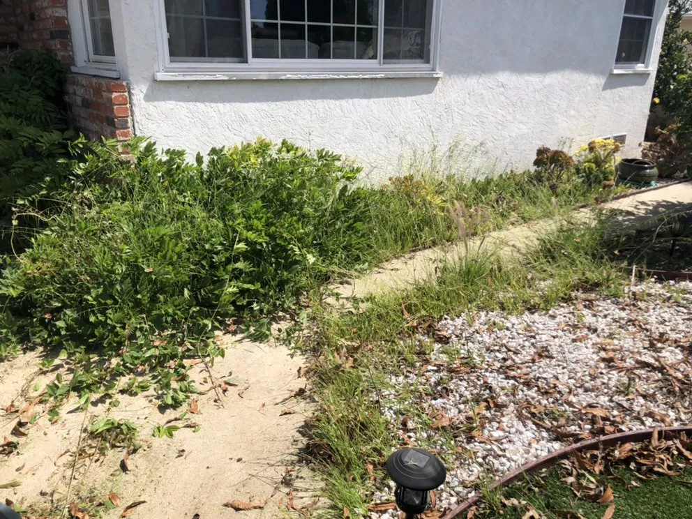 Local residential landscaping for year-round maintenance across San Diego, CA - Inclusive Gardening