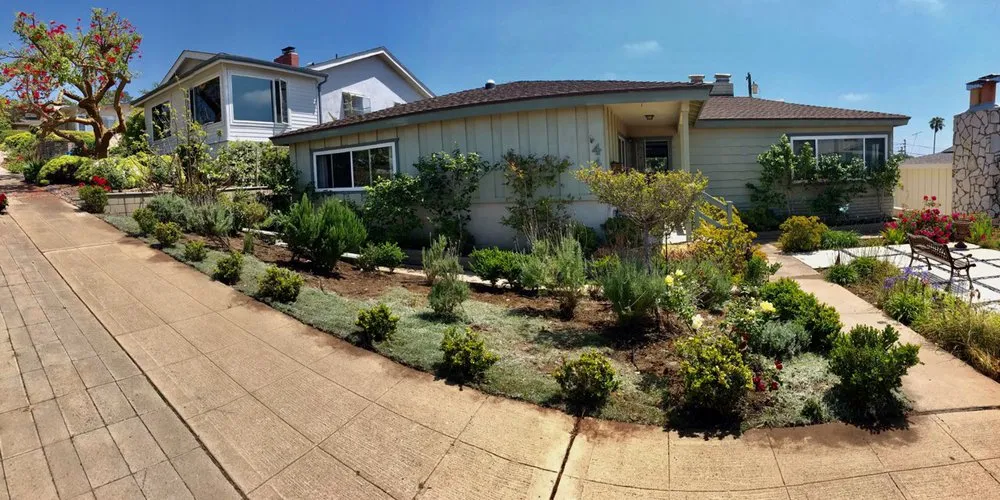 Affordable yard maintenance in San Diego, CA by Inclusive Gardening