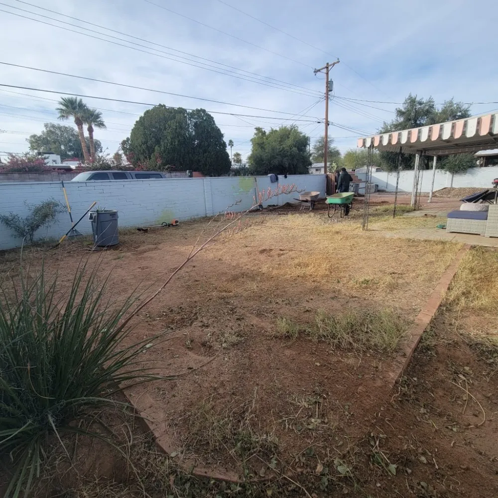 Local yard cleanup service for beautiful yards in Tucson, AZ by Incredible Beast Landscape And Hardscapes