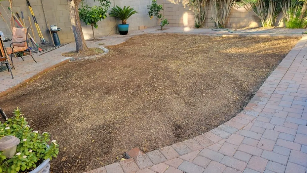 Reliable residential landscaping in Tucson, AZ - Incredible Beast Landscape And Hardscapes