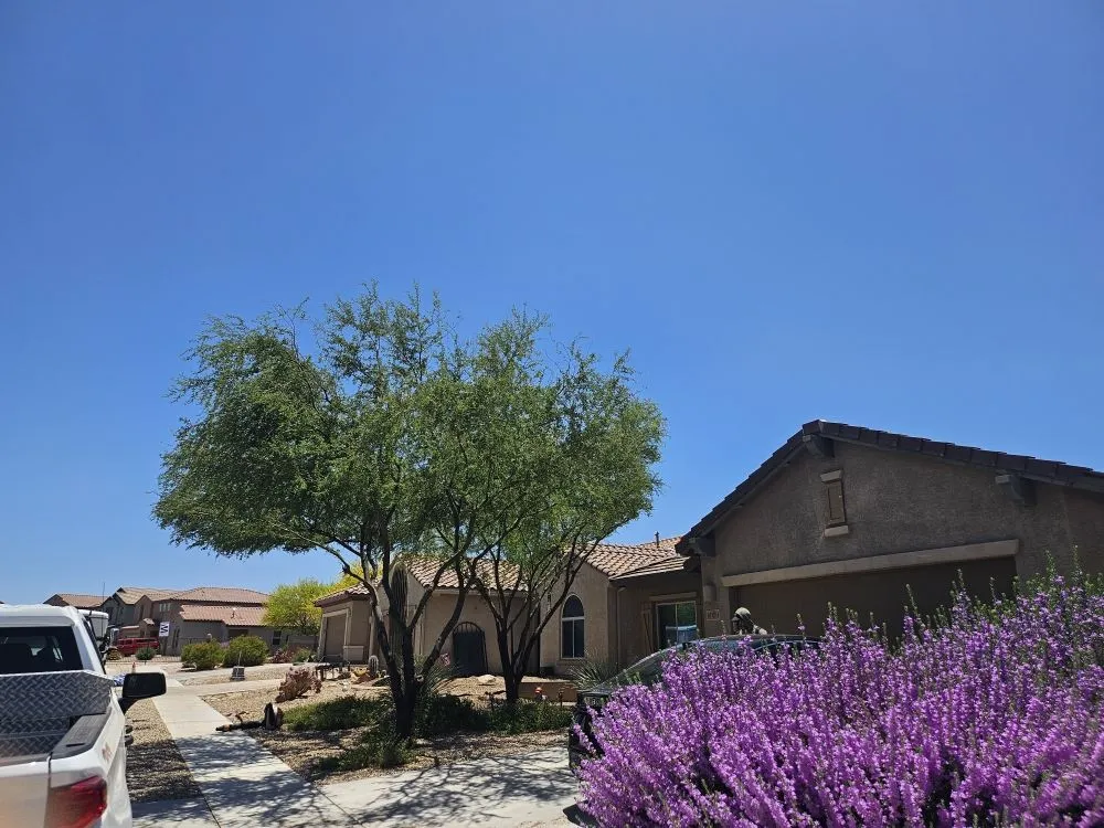 Trusted garden landscaping near you in Tucson, AZ by Incredible Beast Landscape And Hardscapes