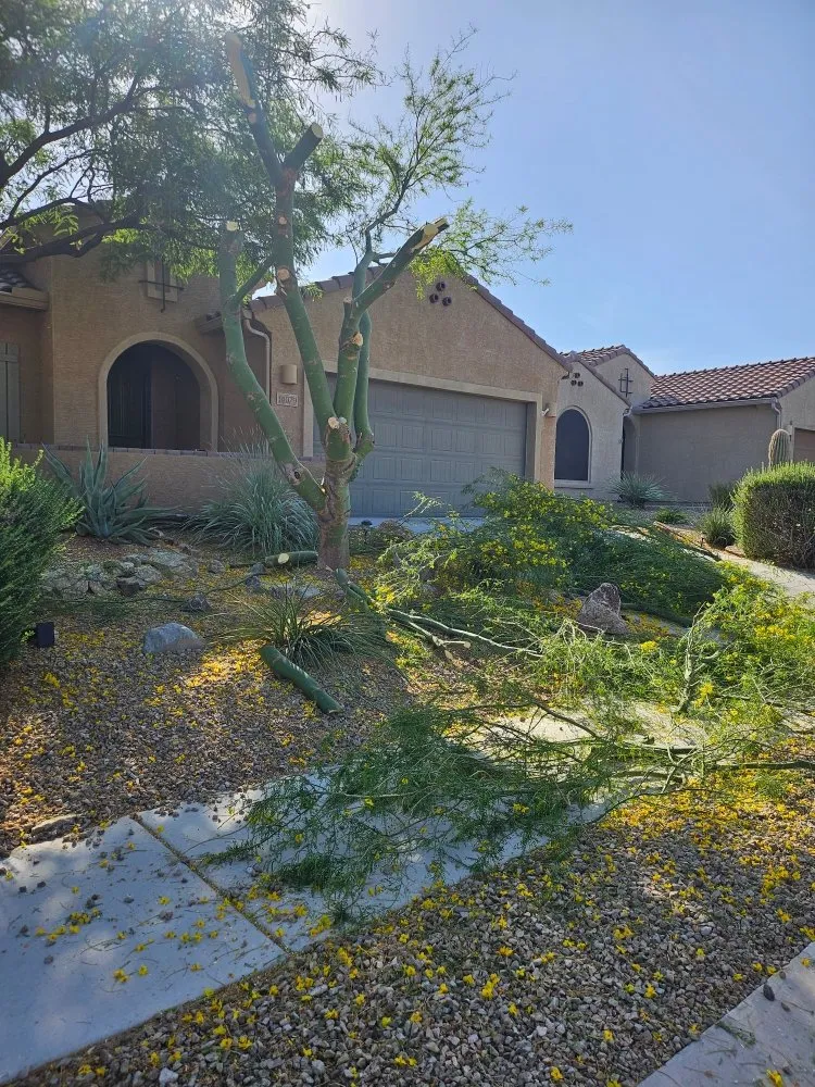 Local yard cleanup service experts serving Tucson, AZ - Incredible Beast Landscape And Hardscapes