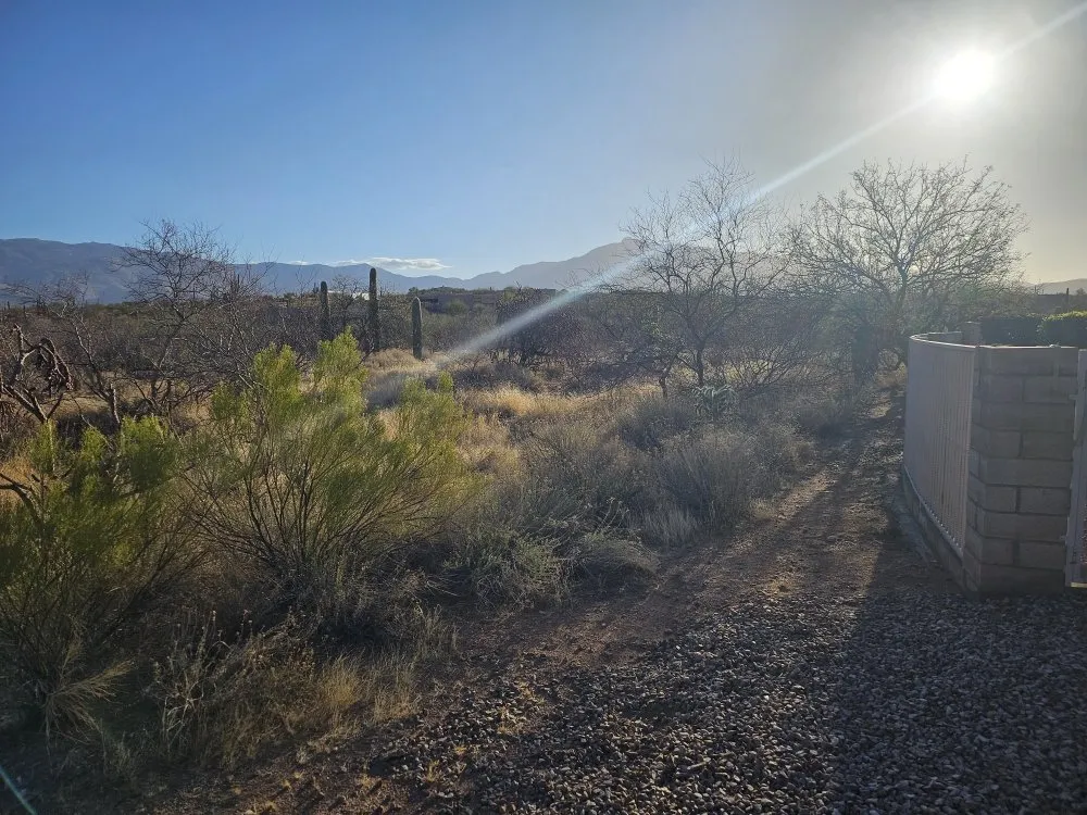 Reliable outdoor landscaping for residential properties in Tucson, AZ by Incredible Beast Landscape And Hardscapes
