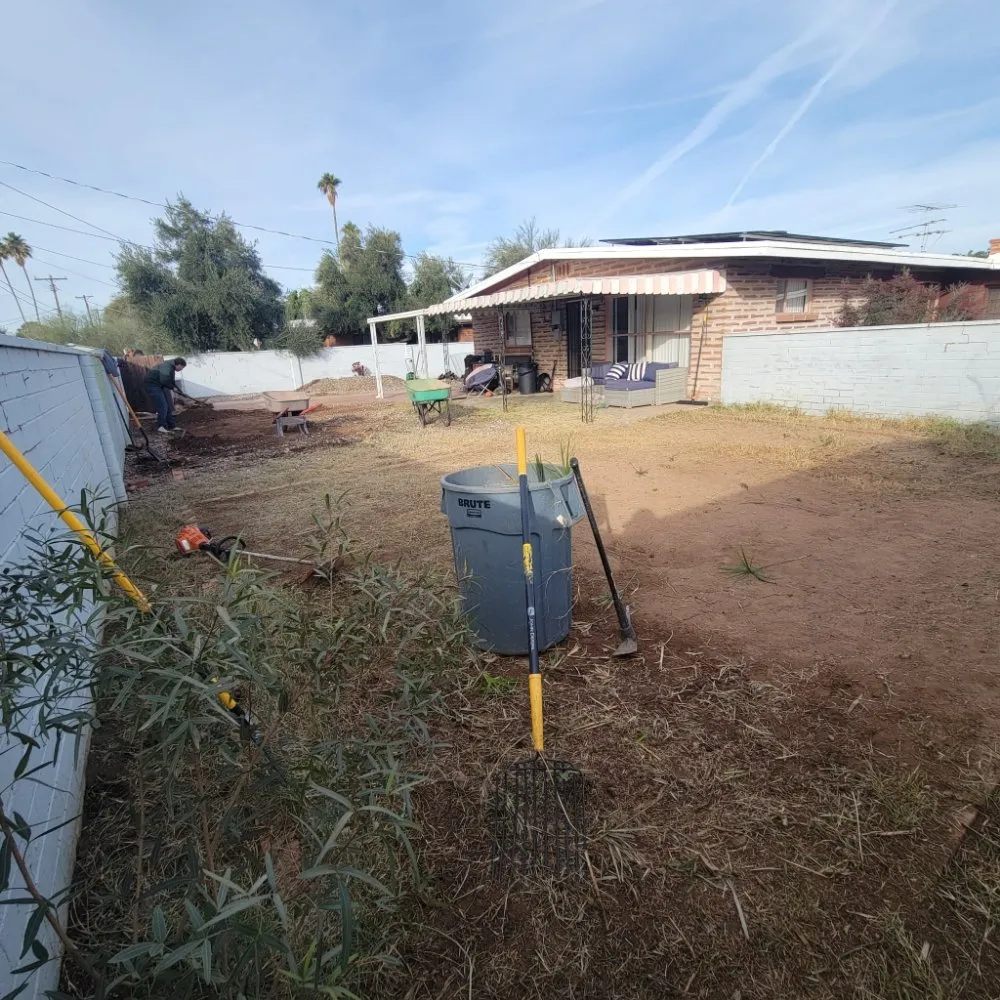 Expert landscape design in Tucson, AZ by Incredible Beast Landscape And Hardscapes