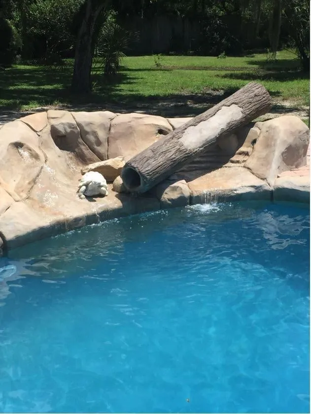 Affordable lawn mowing service in Bradenton, FL - Incredible Concrete