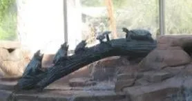 Professional outdoor landscaping in Bradenton, FL - Incredible Concrete