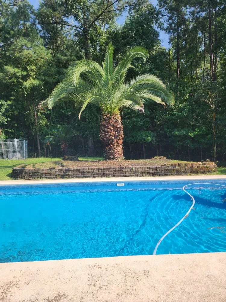 Professional outdoor landscaping in Hinesville, GA by Incredible Cuts