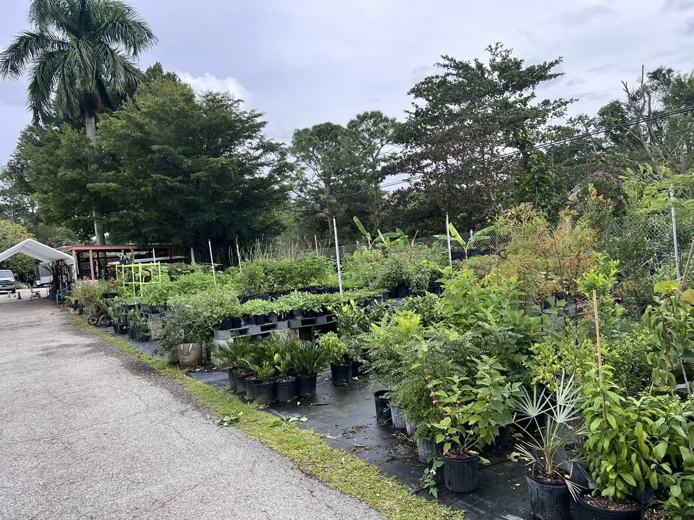 Affordable landscaping services experts serving Loxahatchee, FL - Incredible Edible Landscapes