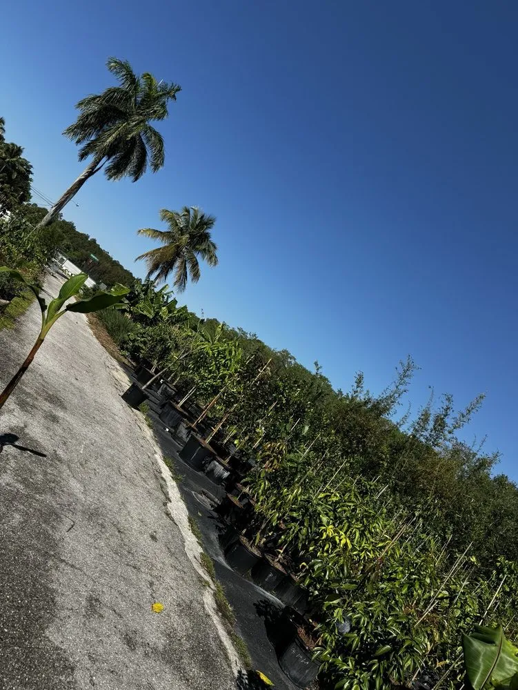 Trusted residential landscaping for homes in Loxahatchee, FL by Incredible Edible Landscapes