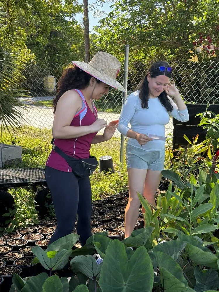 Custom landscape design experts serving Loxahatchee, FL - Incredible Edible Landscapes