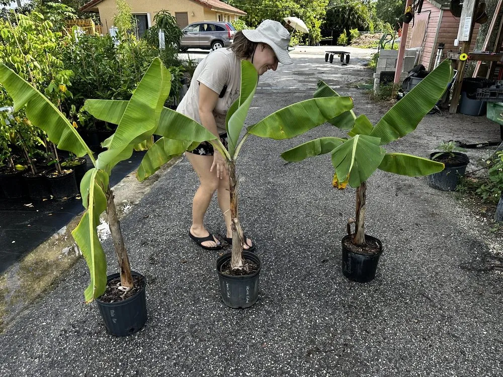 Affordable garden landscaping experts serving Loxahatchee, FL - Incredible Edible Landscapes