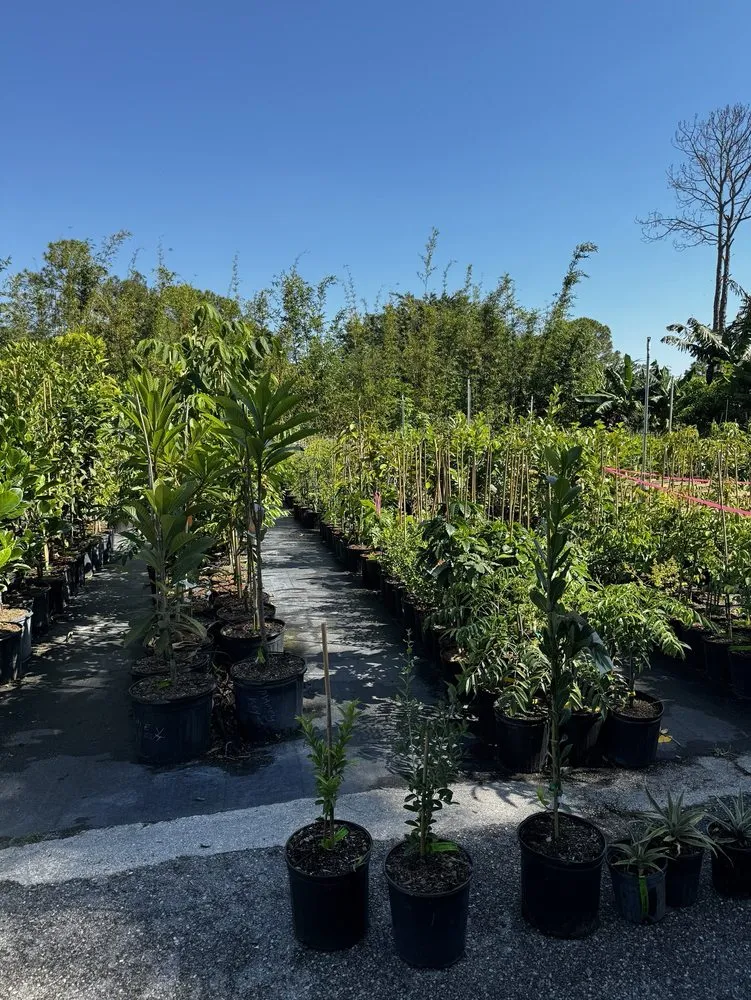 Reliable residential landscaping for year-round maintenance across Loxahatchee, FL - Incredible Edible Landscapes