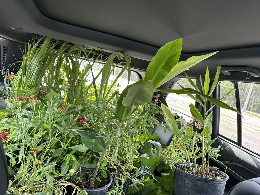 Affordable landscape installation in Loxahatchee, FL - Incredible Edible Landscapes