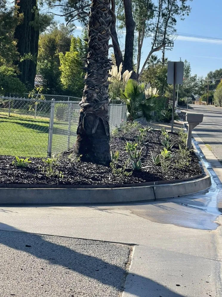 Expert lawn care service for beautiful yards across Hemet, CA - Incredible Landscape